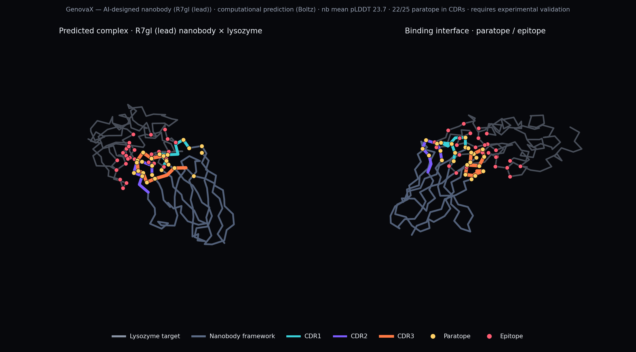 R7gl (lead) computationally predicted nanobody and target complex