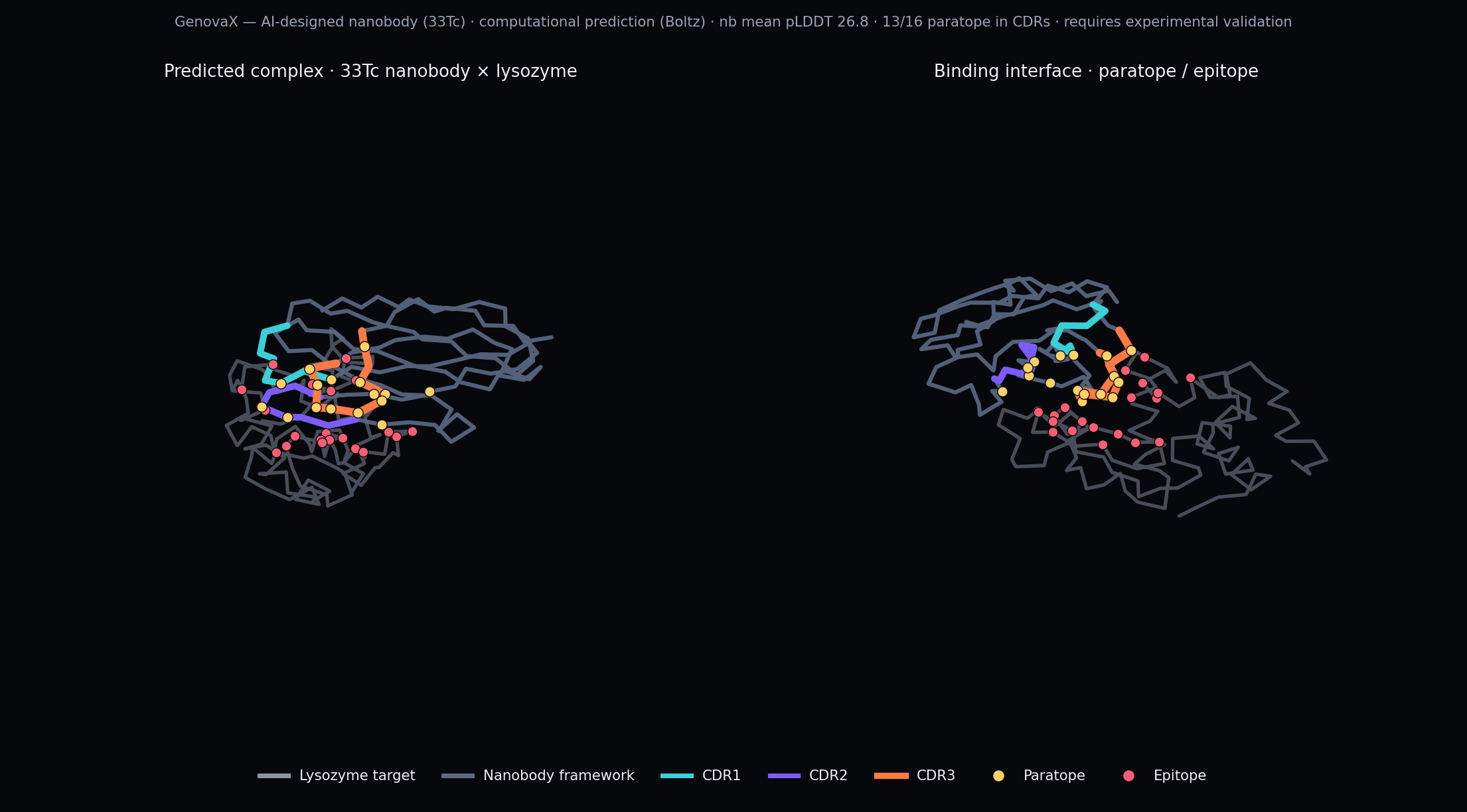 33Tc computationally predicted nanobody and target complex